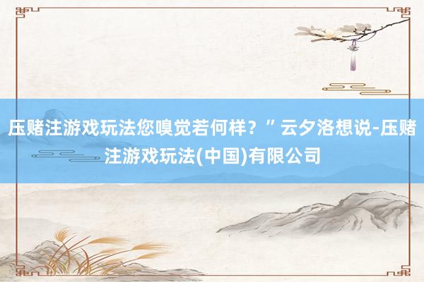 压赌注游戏玩法您嗅觉若何样？”云夕洛想说-压赌注游戏玩法(中国)有限公司
