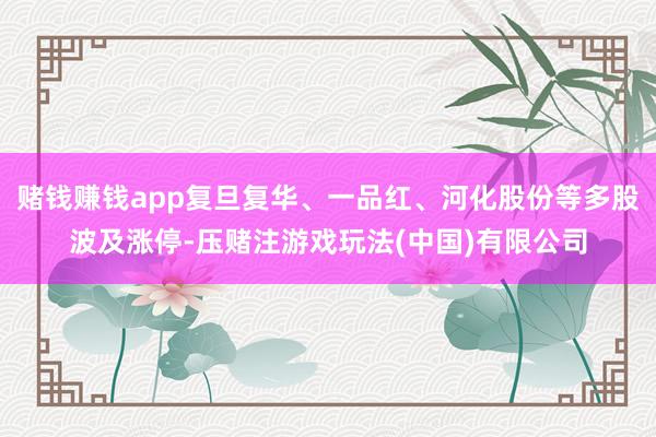 赌钱赚钱app复旦复华、一品红、河化股份等多股波及涨停-压赌注游戏玩法(中国)有限公司