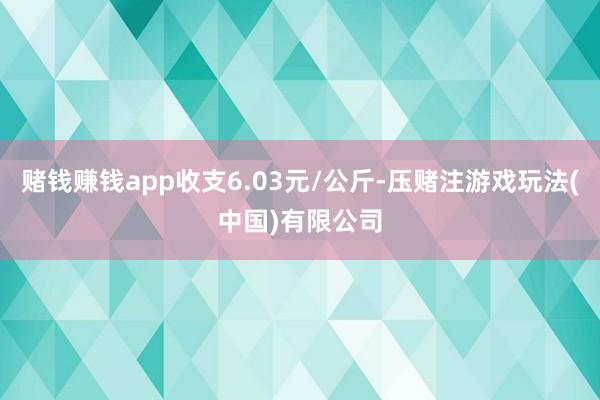 赌钱赚钱app收支6.03元/公斤-压赌注游戏玩法(中国)有限公司