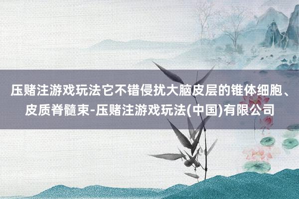 压赌注游戏玩法它不错侵扰大脑皮层的锥体细胞、皮质脊髓束-压赌注游戏玩法(中国)有限公司
