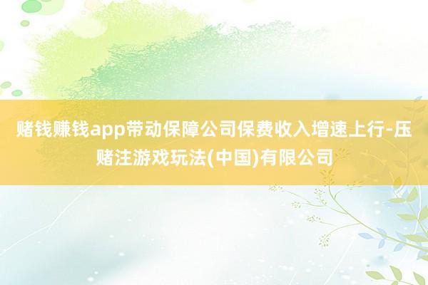 赌钱赚钱app带动保障公司保费收入增速上行-压赌注游戏玩法(中国)有限公司