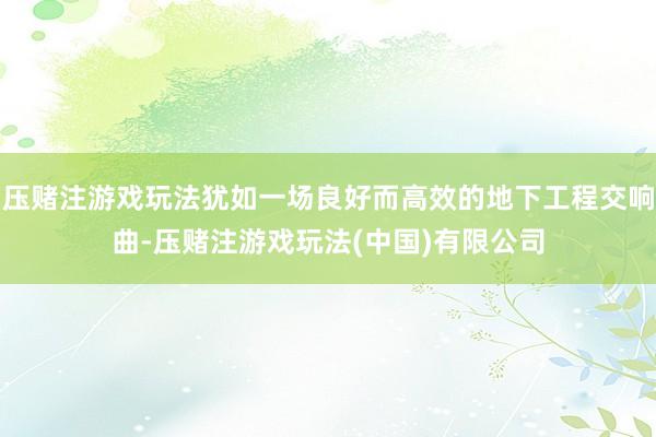 压赌注游戏玩法犹如一场良好而高效的地下工程交响曲-压赌注游戏玩法(中国)有限公司