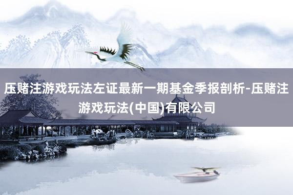 压赌注游戏玩法左证最新一期基金季报剖析-压赌注游戏玩法(中国)有限公司