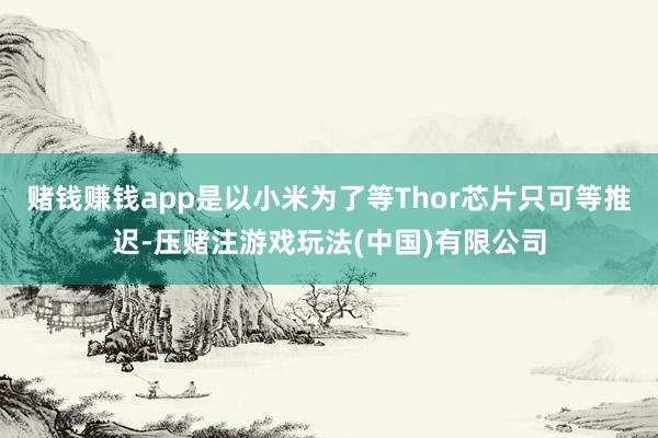 赌钱赚钱app是以小米为了等Thor芯片只可等推迟-压赌注游戏玩法(中国)有限公司