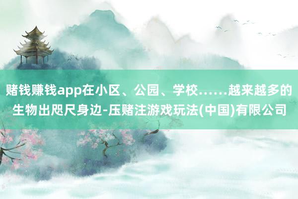 赌钱赚钱app在小区、公园、学校……越来越多的生物出咫尺身边-压赌注游戏玩法(中国)有限公司