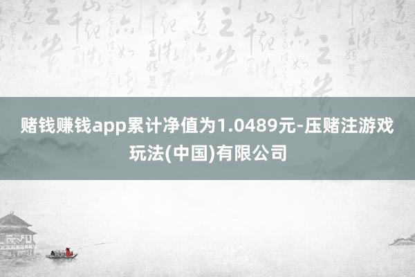 赌钱赚钱app累计净值为1.0489元-压赌注游戏玩法(中国)有限公司