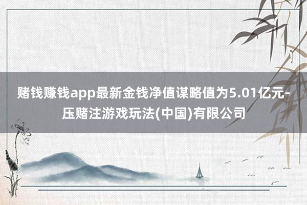 赌钱赚钱app最新金钱净值谋略值为5.01亿元-压赌注游戏玩法(中国)有限公司