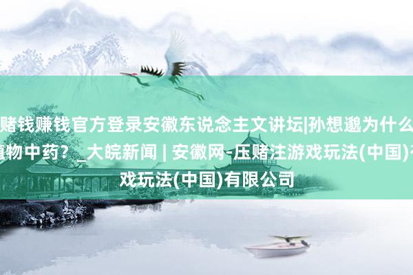 赌钱赚钱官方登录安徽东说念主文讲坛|孙想邈为什么只愿用植物中药？_大皖新闻 | 安徽网-压赌注游戏玩法(中国)有限公司