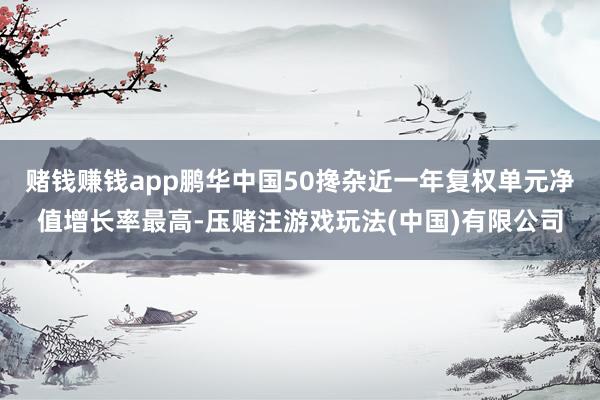 赌钱赚钱app鹏华中国50搀杂近一年复权单元净值增长率最高-压赌注游戏玩法(中国)有限公司