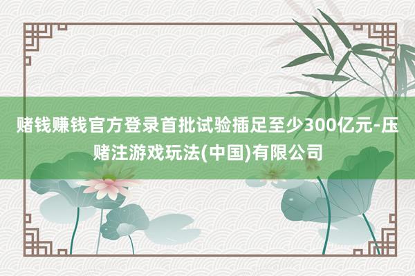 赌钱赚钱官方登录首批试验插足至少300亿元-压赌注游戏玩法(中国)有限公司