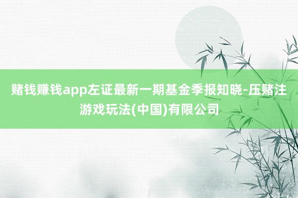 赌钱赚钱app左证最新一期基金季报知晓-压赌注游戏玩法(中国)有限公司