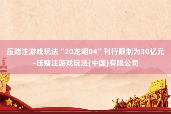 压赌注游戏玩法“20龙湖04”刊行限制为30亿元-压赌注游戏玩法(中国)有限公司