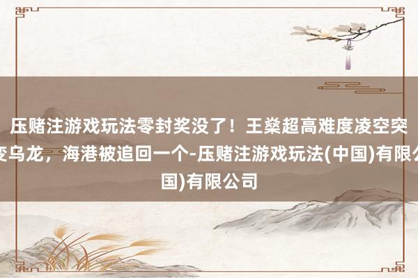 压赌注游戏玩法零封奖没了！王燊超高难度凌空突围变乌龙，海港被追回一个-压赌注游戏玩法(中国)有限公司