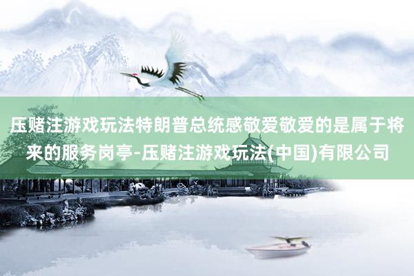 压赌注游戏玩法特朗普总统感敬爱敬爱的是属于将来的服务岗亭-压赌注游戏玩法(中国)有限公司