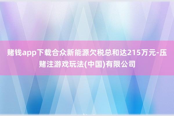 赌钱app下载合众新能源欠税总和达215万元-压赌注游戏玩法(中国)有限公司