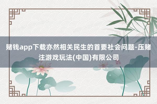 赌钱app下载亦然相关民生的首要社会问题-压赌注游戏玩法(中国)有限公司