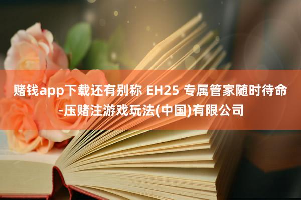 赌钱app下载还有别称 EH25 专属管家随时待命-压赌注游戏玩法(中国)有限公司