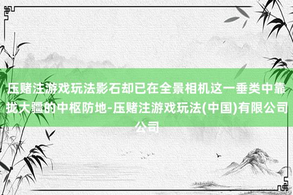 压赌注游戏玩法影石却已在全景相机这一垂类中靠拢大疆的中枢防地-压赌注游戏玩法(中国)有限公司