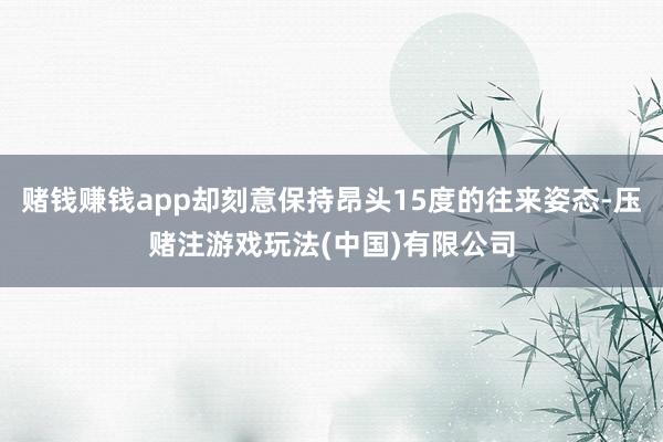 赌钱赚钱app却刻意保持昂头15度的往来姿态-压赌注游戏玩法(中国)有限公司