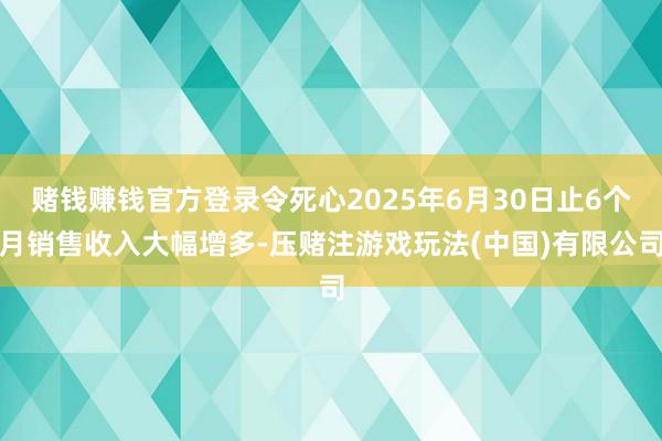 赌钱赚钱官方登录令死心2025年6月30日止6个月销售收入大幅增多-压赌注游戏玩法(中国)有限公司