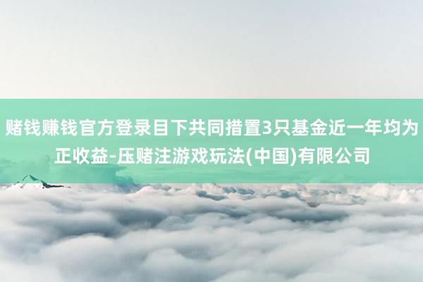 赌钱赚钱官方登录目下共同措置3只基金近一年均为正收益-压赌注游戏玩法(中国)有限公司
