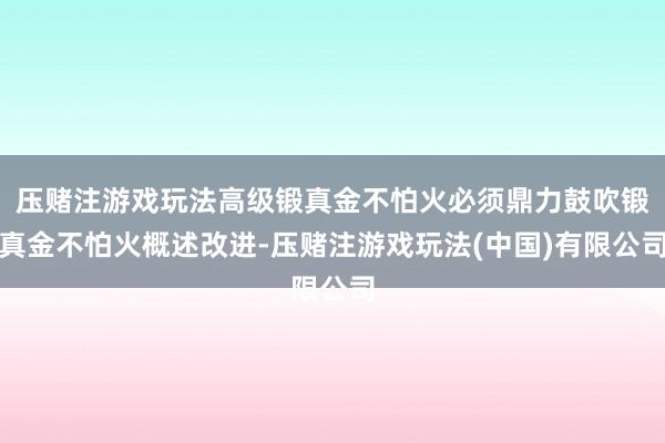 压赌注游戏玩法高级锻真金不怕火必须鼎力鼓吹锻真金不怕火概述改进-压赌注游戏玩法(中国)有限公司