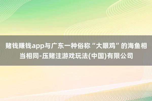 赌钱赚钱app与广东一种俗称“大眼鸡”的海鱼相当相同-压赌注游戏玩法(中国)有限公司