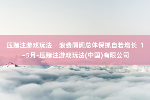 压赌注游戏玩法    浪费阛阓总体保抓自若增长  1—5月-压赌注游戏玩法(中国)有限公司