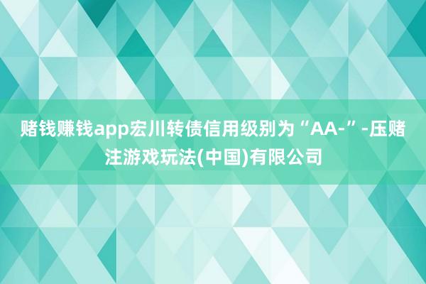 赌钱赚钱app宏川转债信用级别为“AA-”-压赌注游戏玩法(中国)有限公司