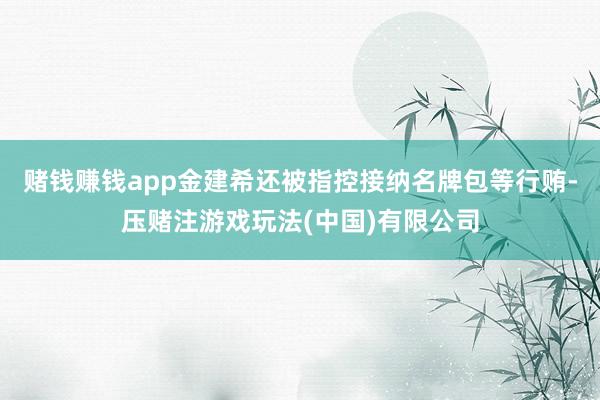 赌钱赚钱app金建希还被指控接纳名牌包等行贿-压赌注游戏玩法(中国)有限公司