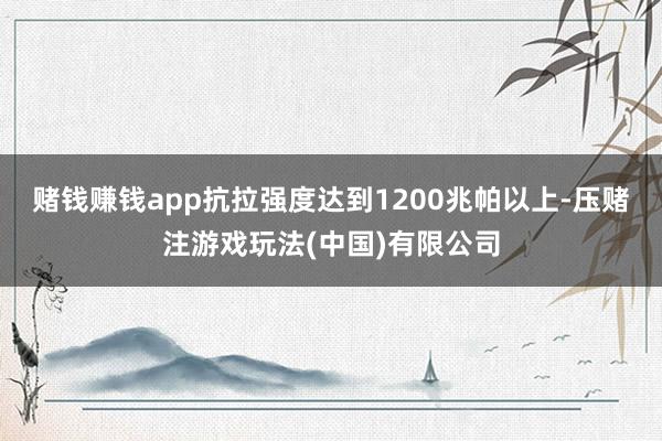 赌钱赚钱app抗拉强度达到1200兆帕以上-压赌注游戏玩法(中国)有限公司